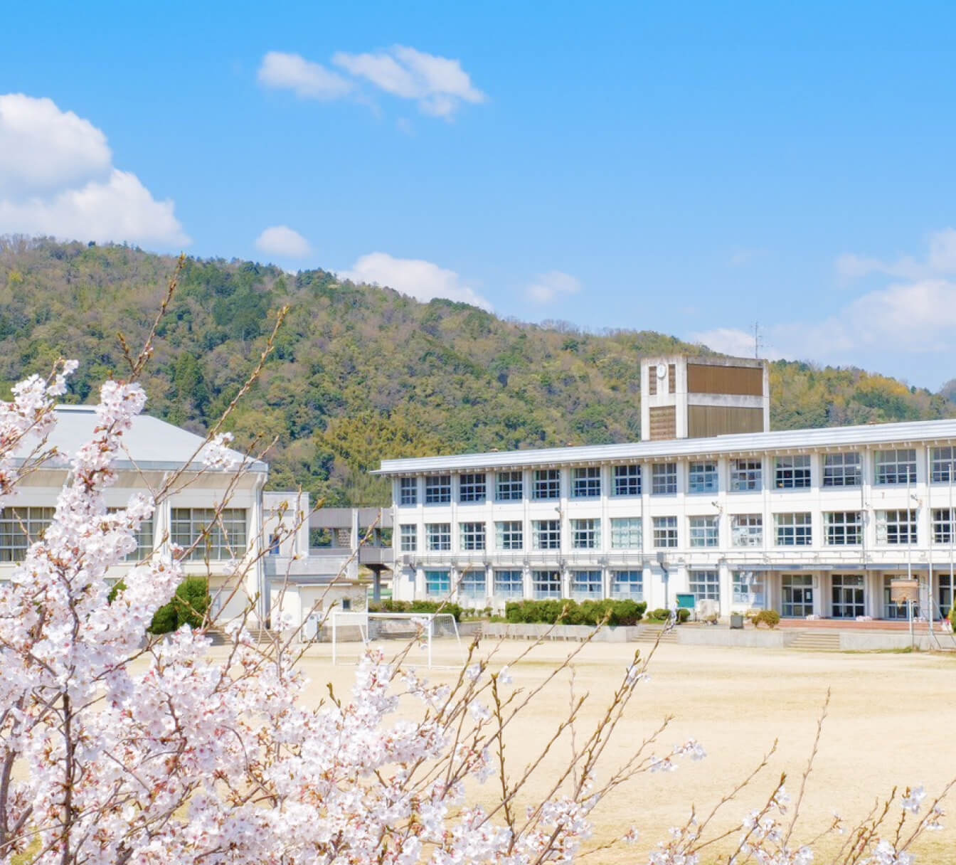 学校の画像